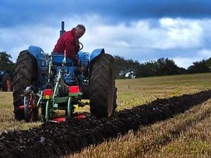 Supporting image for story: Annual ploughing match draws big crowds - with video