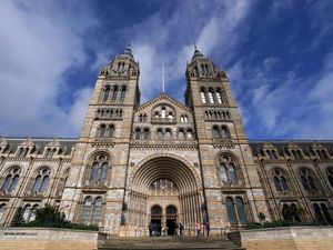 Supporting image for story: Natural History Museum aims to be ‘digital’ attraction to reach new audiences