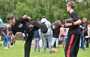 Satori Martial Arts.hel displays at Willenhall Carnival