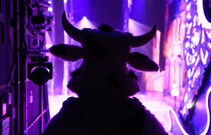 Doreen Tipton. Photo: Simon Hadley