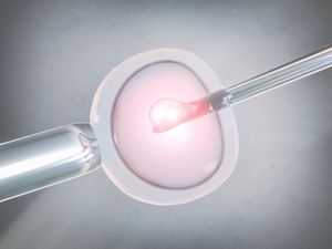 Supporting image for story: Co-IVF pregnancies may boost risk of serious complications, study suggests