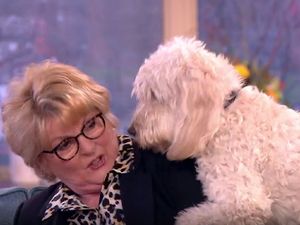 Supporting image for story