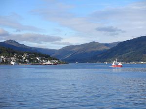 Supporting image for story: Search for person overboard from ferry suspended