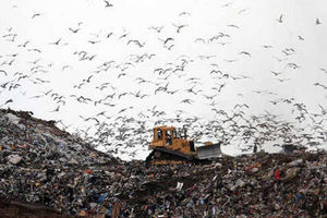 Supporting image for story: Ellesmere landfill site wins extension