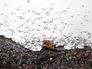 Supporting image for story: Ellesmere landfill site wins extension