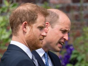 Supporting image for story: Harry calls William ‘arch nemesis’ and claims prince physically attacked him