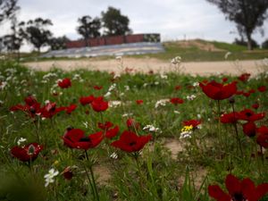 Supporting image for story: Rape and sexual assault took place during Hamas attack, Israeli association says