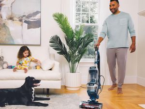 The Stratos XL 2.6 is perfect for homes with pets