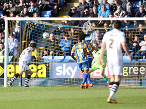 Supporting image for story: Shrewsbury Town have duo on their radar