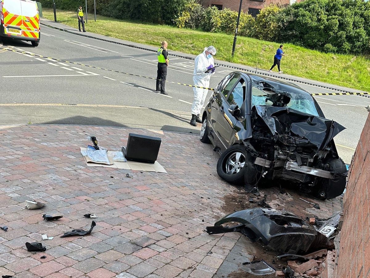 Car rampage killer was on bail from immigration detention centre, court told