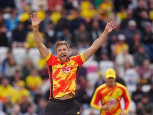 Supporting image for story: David Willey urges English cricket to embrace changes to The Hundred