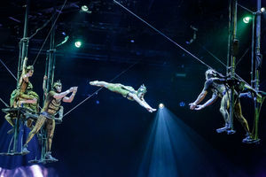 Cirque du Soleil OVO. Pictures by: Chris Bowley