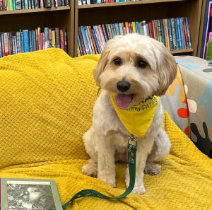 Local dog, Dolly, volunteering at MD library.