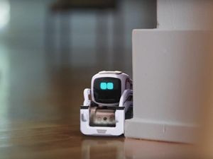 Supporting image for story: The makers of this new AI pet robot that recognises faces believe it can become ‘part of the family’