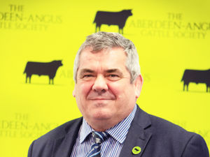 Supporting image for story: Beefing up the standards