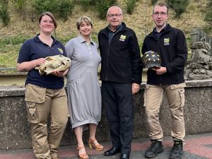 Supporting image for story: Foundation supports free educational visits to Dudley Zoo and Castle