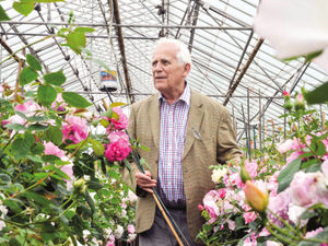 Supporting image for story: Award-winning Shropshire rose breeder David Austin dies, aged 92