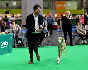 Crufts 2025