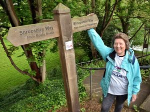 Supporting image for story: Charity boss Julia puts best foot forward on retirement walk