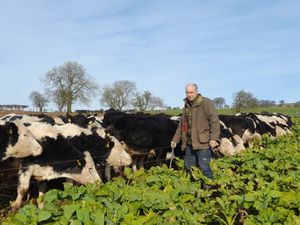 Supporting image for story: Shropshire NFU chair calls on farmers to 'look out for each other' after difficult 2024