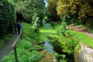 Newport canal