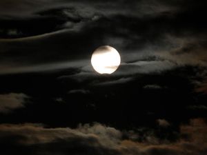 Supporting image for story: The moon will block out three planets in a rare lunar occultation