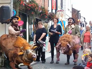 Supporting image for story: Star Comment: Support Damson in distress