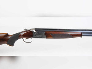 Supporting image for story: Shotgun, jewellery and £20k cash stolen in home raid