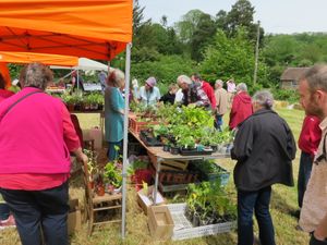 The popular plant stall at Hope Bagot Fete