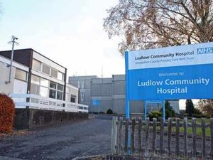 Supporting image for story: League of Friends will fight to retain services in Ludlow