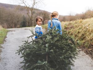 Supporting image for story: Dobbies’ Gailey hosts free-to-attend workshop for kids in the New Year