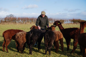 Frankly Alpacas in Broseley, run by John Franklin-Hackett.