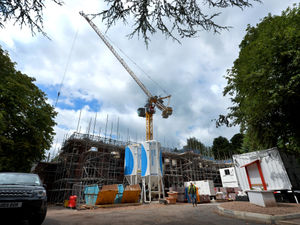 Supporting image for story: Anger as 'leafy green area' disappears in Tettenhall