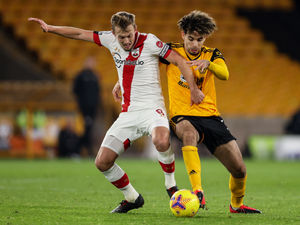 Supporting image for story: Wolves Fans' Verdict v Southampton: Points dropped or a solid draw?