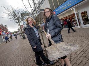 Supporting image for story: Hundred new trees planted ahead of Halesowen in Bloom event