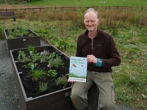 Supporting image for story: Residents' views are being sought on a Llandrindod Wells leisure and nature park