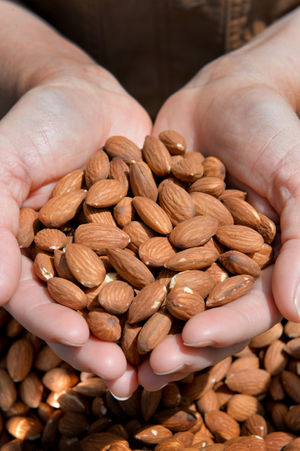 Almonds are a good source of nutrients