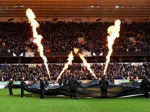 Supporting image for story: Wolves Fans' Verdict v Tottenham: Sickening loss but stunning display