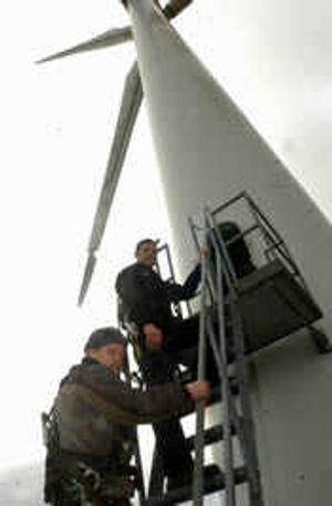 Supporting image.