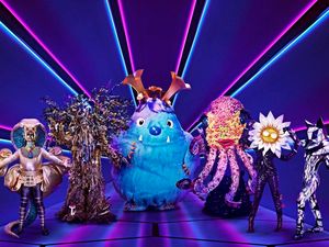 Supporting image for story