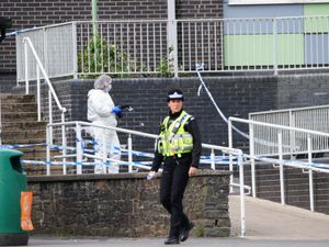 Supporting image for story: Teenager told friends she would stab teacher, court hears