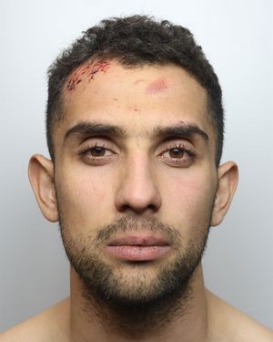 Denis Balaz was jailed for more than nine years for causing the death of Kevin Jarvis