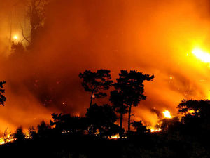 Supporting image for story: Walkers urged to be vigilant over fire risks after Grinshill Wood blaze