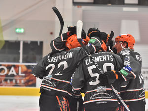 Supporting image for story: Telford Tigers’ fightback not quite enough