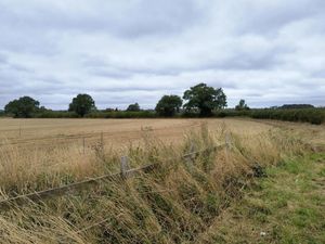 Supporting image for story: Plans to diversify small family farm near Lichfield include small dog walking area