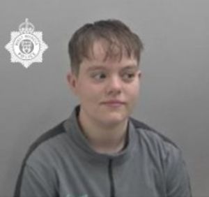 Kaitlin Wilkins banned from a West Midlands McDonald's drive-thru restaurant after causing criminal damage after drinking vodka