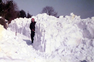 Dwarfed by the snow in Wentnor, south Shropshire. Photo: Sally-Ann Hudson. 