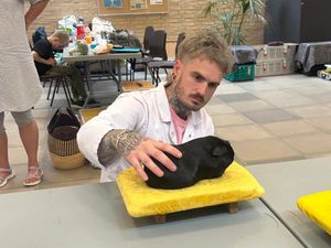 Supporting image for story: VIDEO: Meet the Dudley man who judges guinea pigs around the world and has 80 of his own