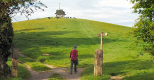 Supporting image for story