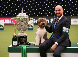 Javier Gonzalez Menicote from Croatia with Orca, a Lagotto Romagnolo, who won the coveted title of Best in Show in 2023